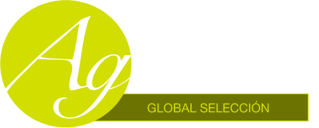 Grupo 15291